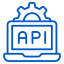 API Integration & Development