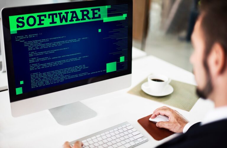 Software Maintenance & Enhancement Services
